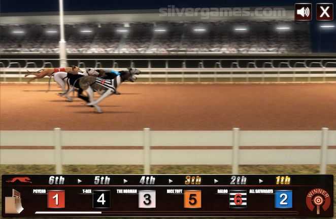 Greyhound Racing