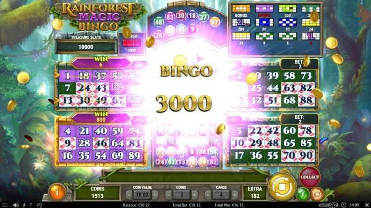 Play Rainforest Magic