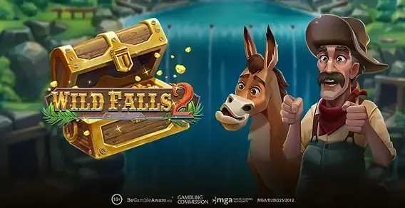 Play Wild Falls 2