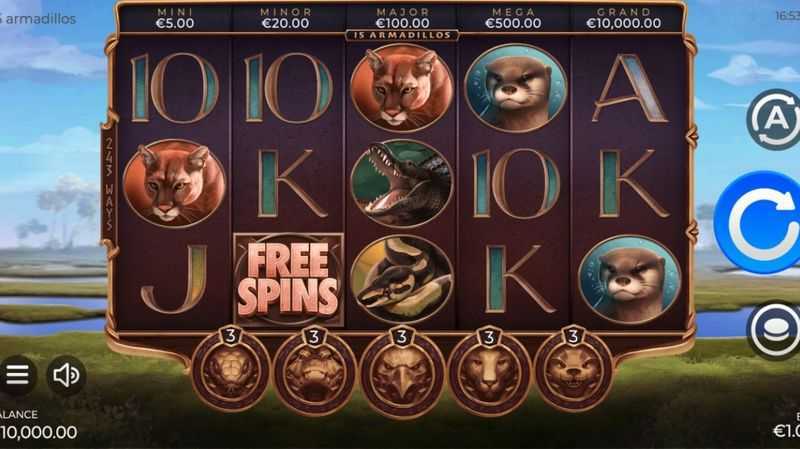 Slot 15 Armadillos 1 Slot 15 Armadillos 1