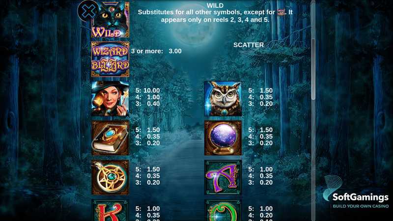 Slot Wizard Blizzard 2 Slot Wizard Blizzard 2