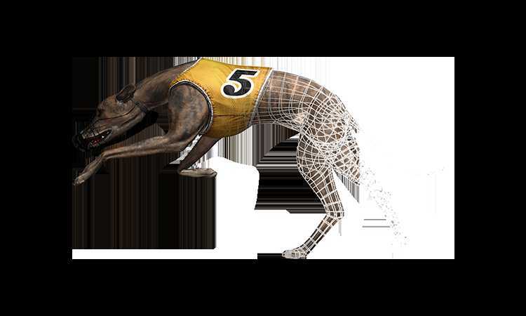 Slot Pre Recorded Dog Racing 1 Slot Pre Recorded Dog Racing 1
