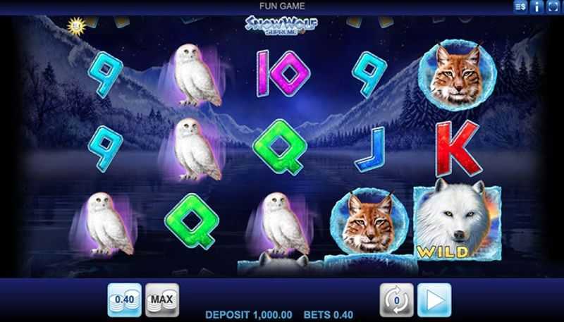 Slot Tortuga Hd 3 Slot Tortuga Hd 3