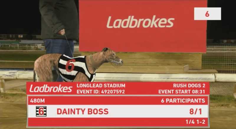 Slot Virtual Greyhound Races 3 Slot Virtual Greyhound Races 3