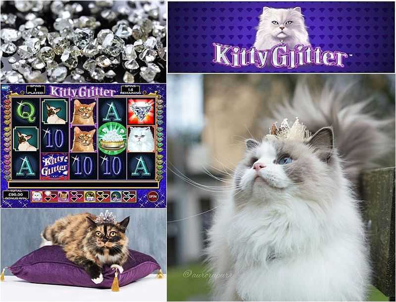 Slot Kitty Wins Spinoro 4 Slot Kitty Wins Spinoro 4