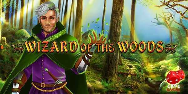 Play Wizard of the Woods by 2by2 Gaming