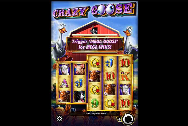 Slot Crazy Goose