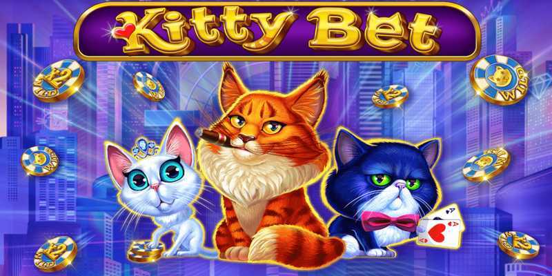 Play Kitty Bet by Amatic Industries