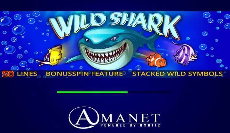 Play Wild Shark by Amatic Industries