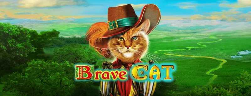 Play Brave Cat by Amusnet Interactive