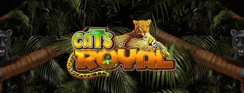 Play Cats Royal by Amusnet Interactive