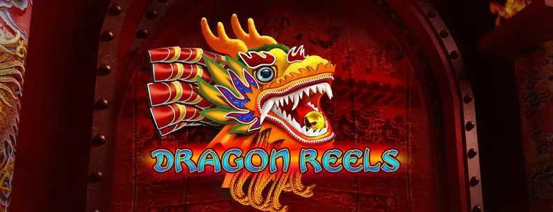 Play Dragon Reels by Amusnet Interactive