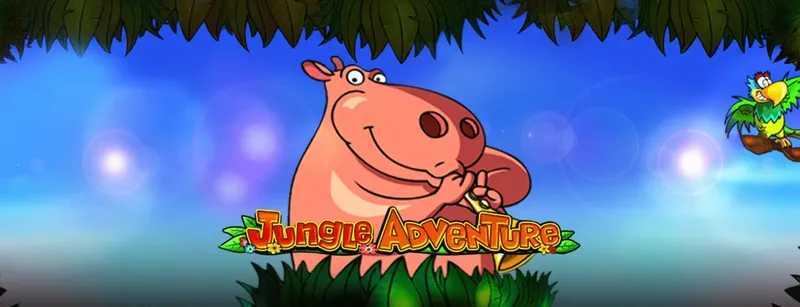 Play Jungle Adventure by Amusnet Interactive