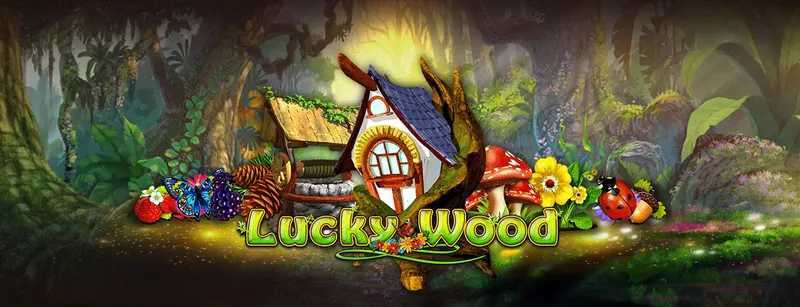 Play Lucky Wood by Amusnet Interactive