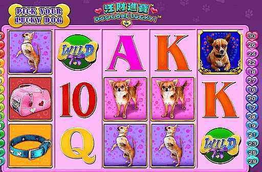 Slot Doggone Lucky