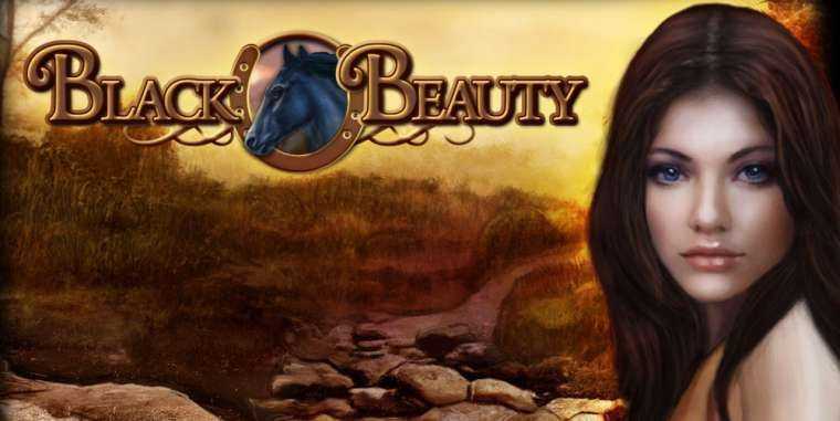 Play Black Beauty by Bally