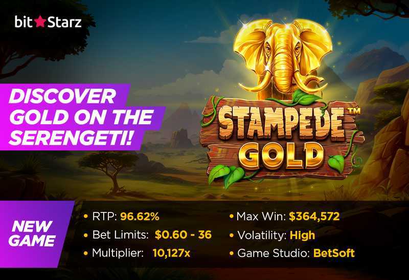 Play Stampede Gold by Betsoft