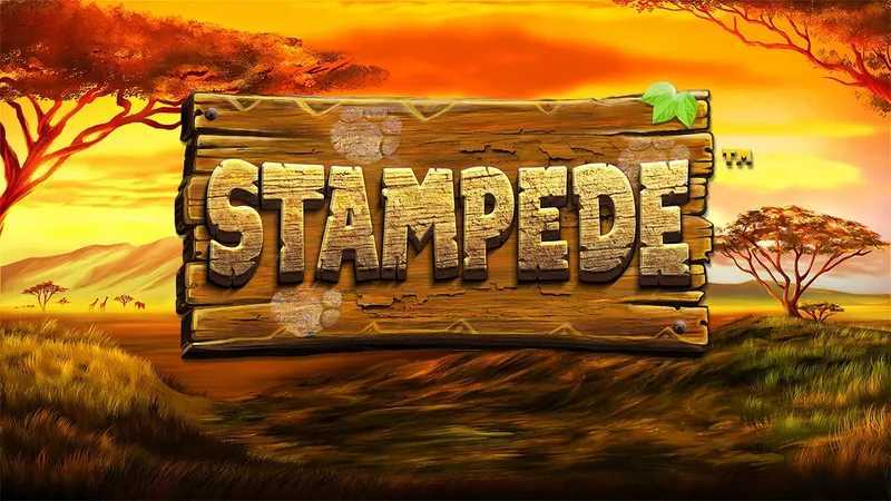 Play Stampede by Betsoft