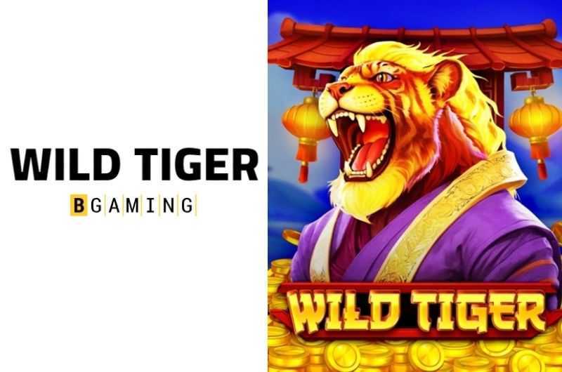 Play Wild Tiger by Bgaming