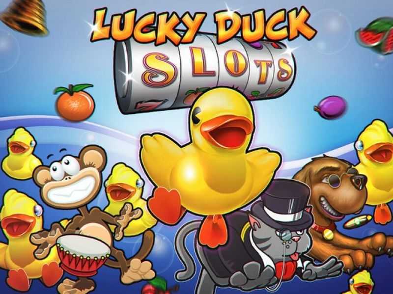 Play Lucky Duck by Blueprint