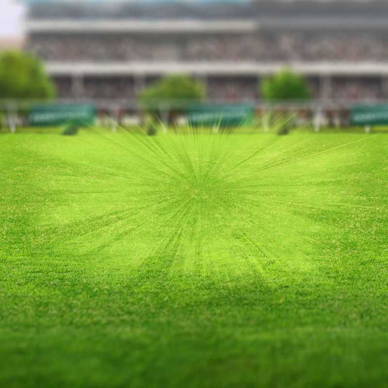 Ruby Walsh Champion's Gold Ruby Walsh Champion's Gold