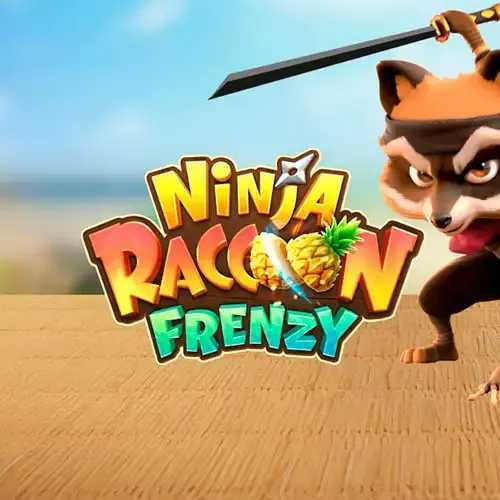 Slot Ninja Raccoon