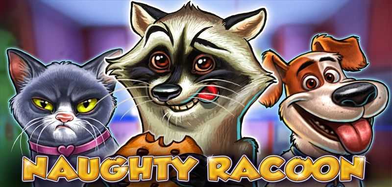 Play Naughty Racoon by Ct Gaming