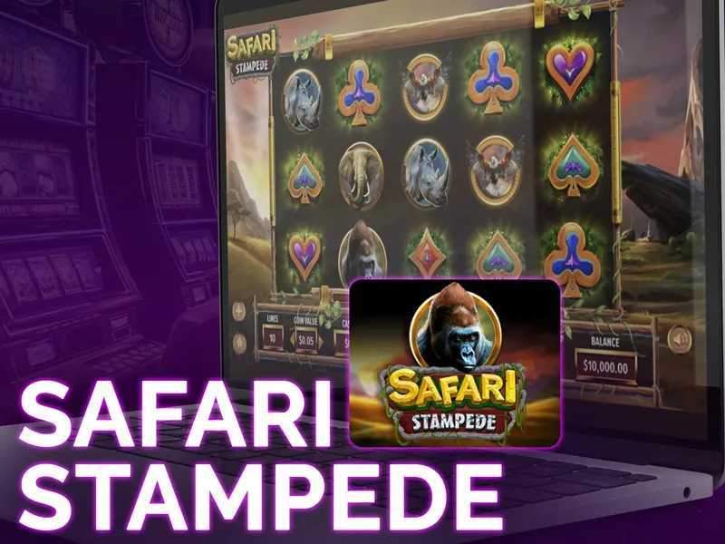 Play Safari Stampede by Dragon Gaming