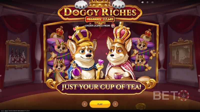 Slot Wags to Riches