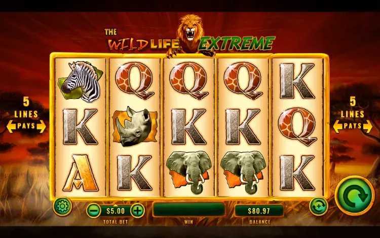 Play Wild Cobra by Edict
