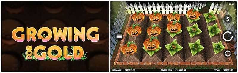 Play Growing for Gold by Endemol Shine Gaming