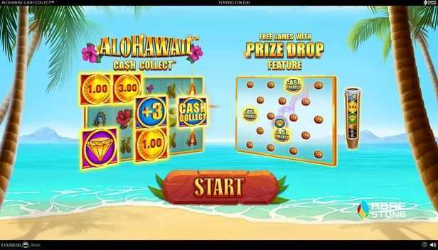 Play Hawaii by Funky Games