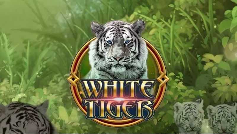 Play White Tiger by Funky Games