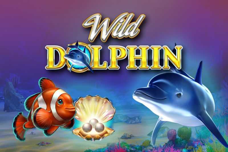 Play Wild Dolphin by Gameart