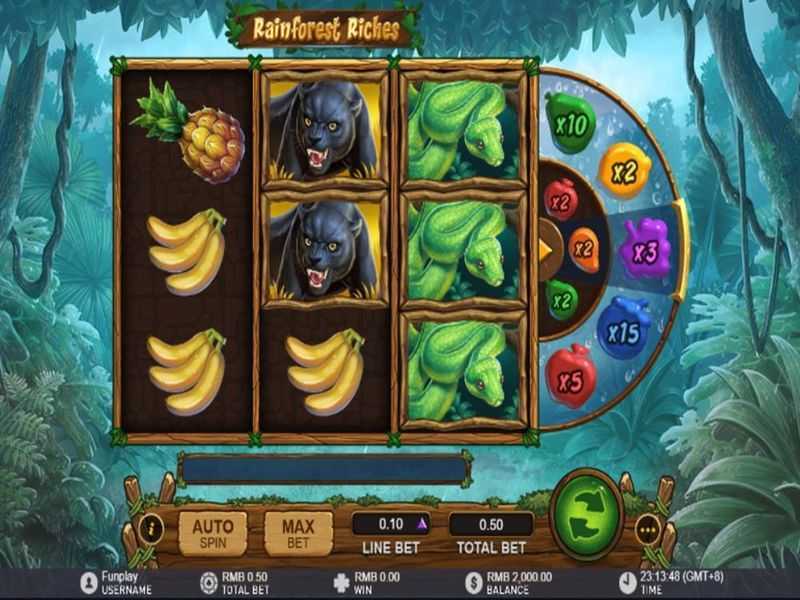 Rainforest Riches GamePlay Rainforest Riches GamePlay