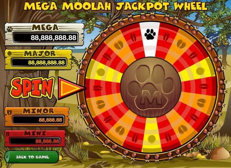 Play What a Hoot by Games Global in this thrilling online casino game. 
