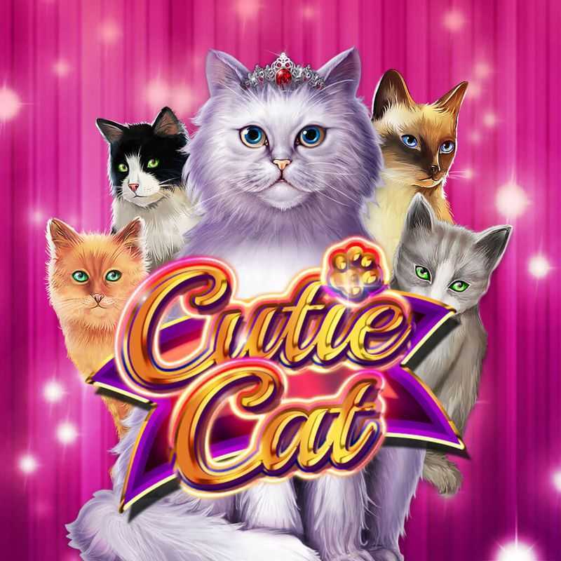 Play Cutie Cat by Gamomat