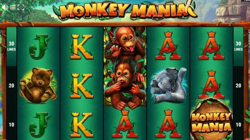 Play Monkey Mania by Gamomat