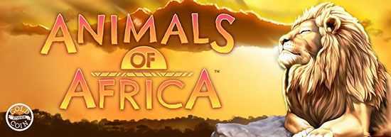 Play Animals of Africa by Gold Coin Studios