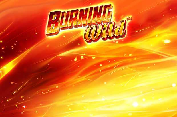 Play Burning WILD by Greentube