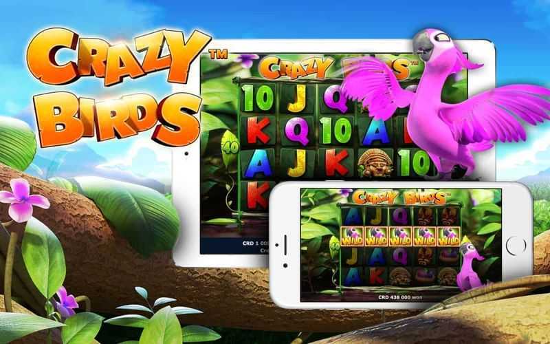 Play Crazy Birds by Greentube