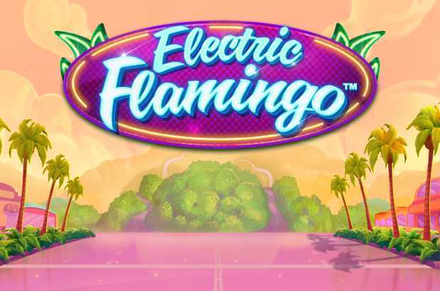 Play Electric Flamingo by Greentube