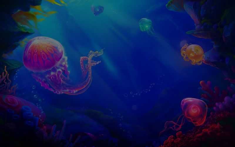 Jellyfish Flow Habanero Jellyfish Flow Habanero