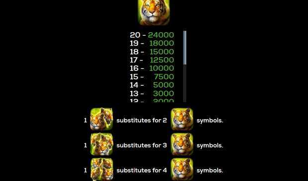 Play Quad Cat by High 5 Games