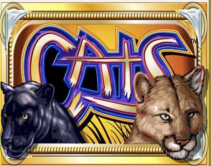 Play Cats by Igt