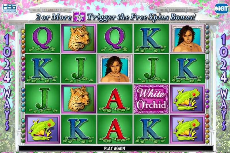 Play White Orchid by Igt