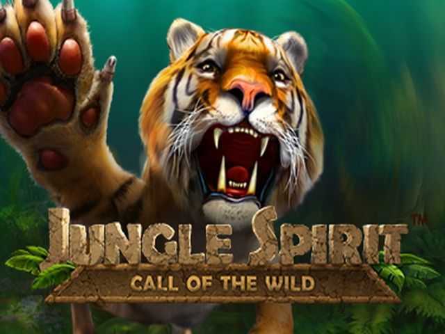 Play Wild Extra Cats (3x3) by Inbet Games