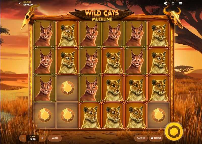 Play Wild Extra Cats by Inbet Games