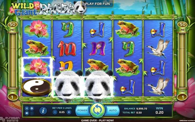Lotus Panda Lotus Panda