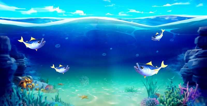 Big Big Fishing Fortune Big Big Fishing Fortune